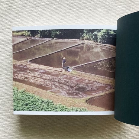 SCREENSHOTS FROM A SERIES OF VIDEOS ABOUT A RICE FIELD AND ITS SURROUNDINGS