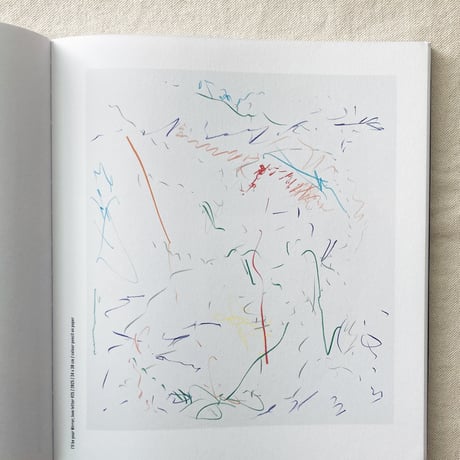 Fleur van Dodewaard｜BLACK GRASS／LOVE LETTERS