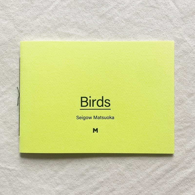松岡正剛｜Birds | 曲線