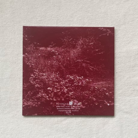 〈CD〉Lori Scacco｜Circles
