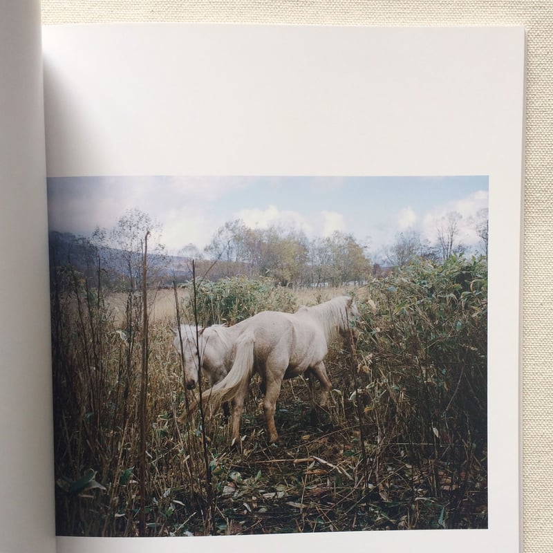 シャルロット・デュマ｜Stay | 曲線