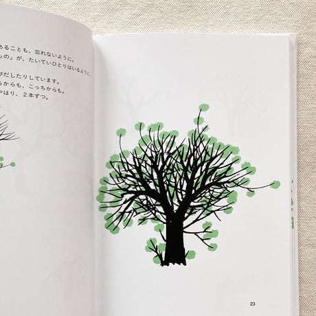 ブルーノ・ムナーリ｜木をかこう
