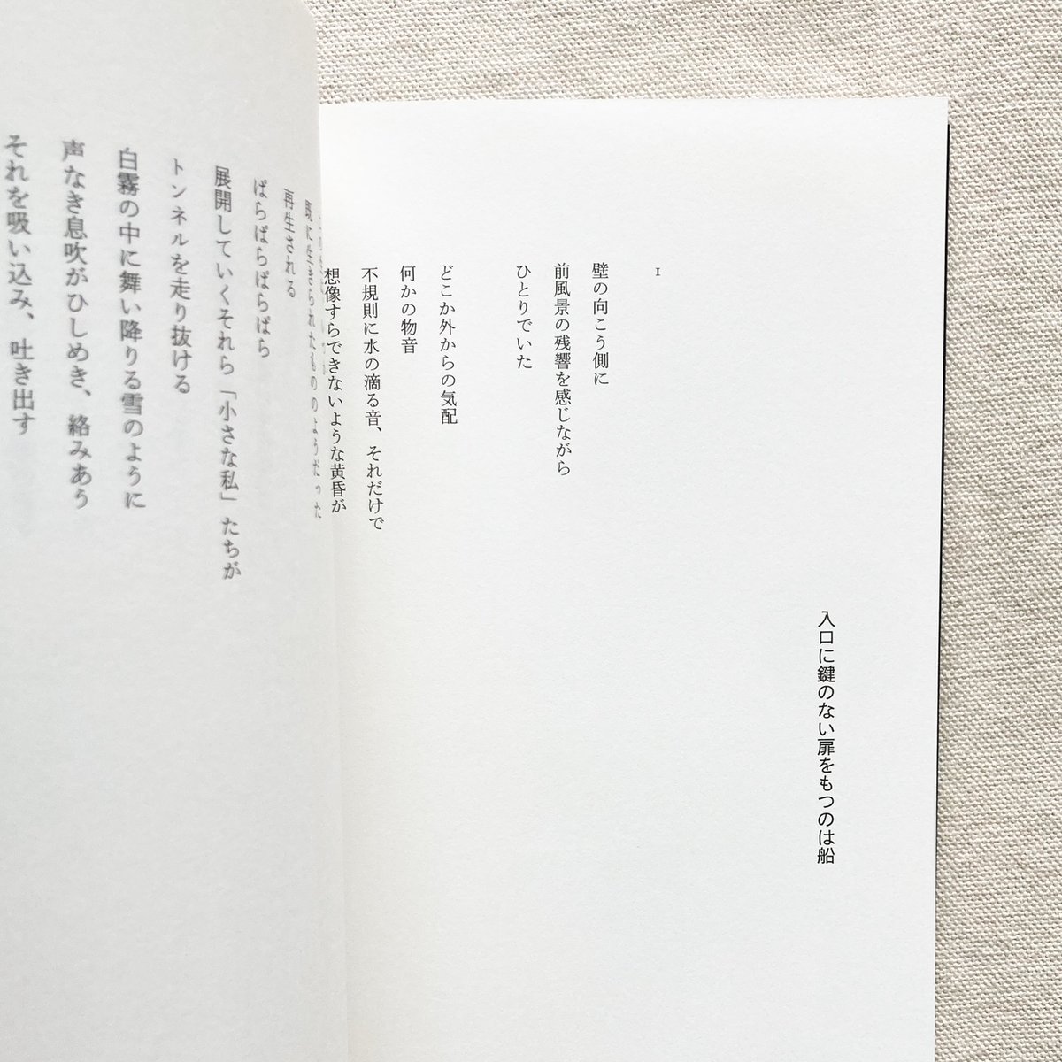 十田撓子｜銘度利加 | 曲線