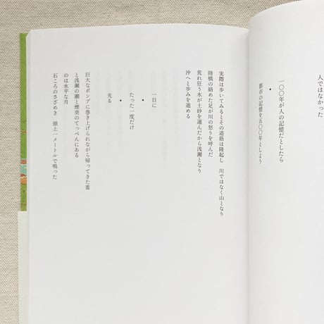 青柳菜摘｜亡船記