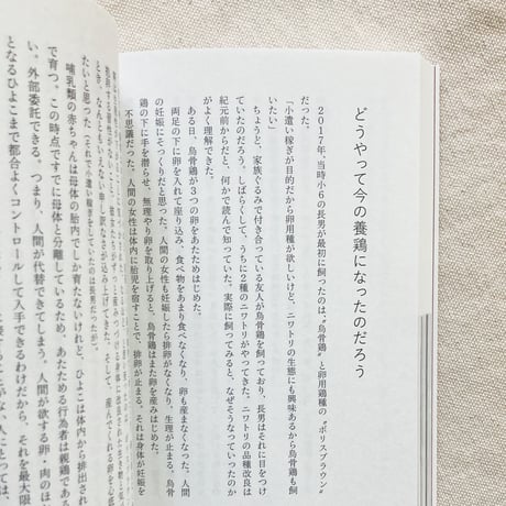 繁延あづさ｜鶏まみれ
