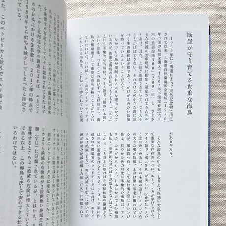 岡田敦｜エピタフ　幻の島、ユルリの光跡