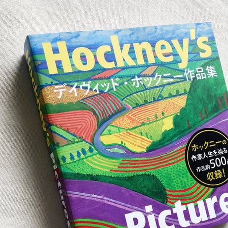 Hockney's Pictures