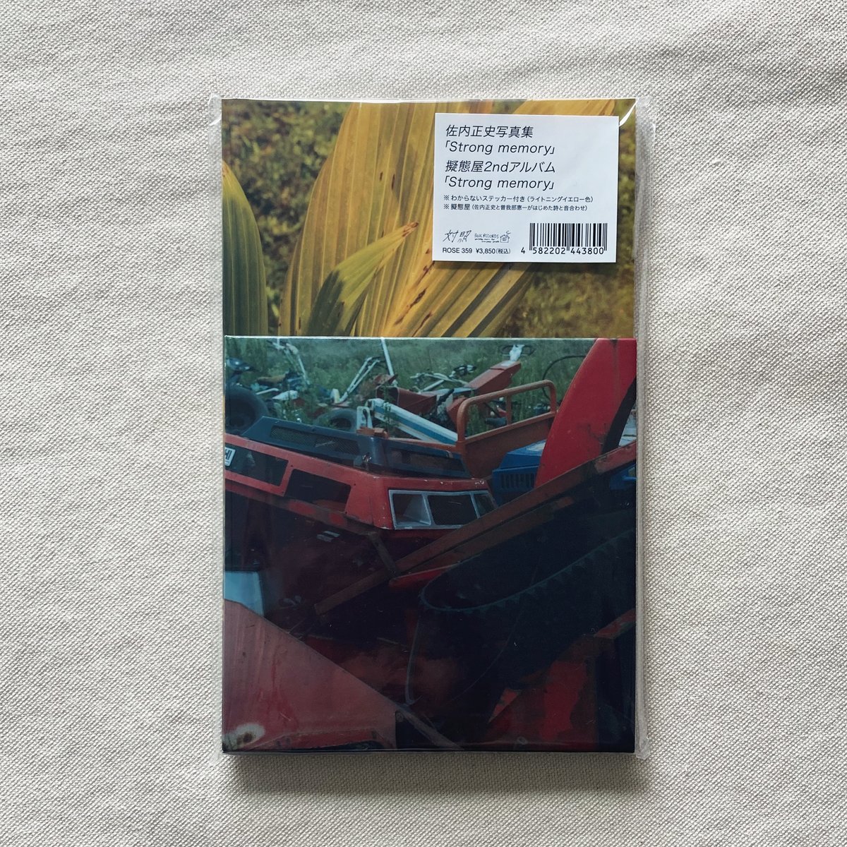 佐内正史+擬態屋｜Strong memory | 曲線