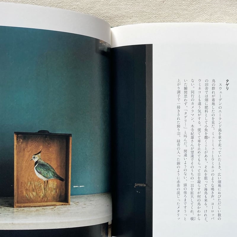 梨木香歩・ユカワアツコ・長島有里枝｜草木鳥鳥文様 | 曲線