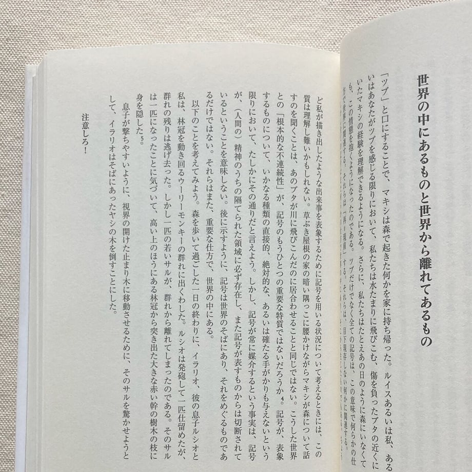 64c4c28ed4795e004e8b70db