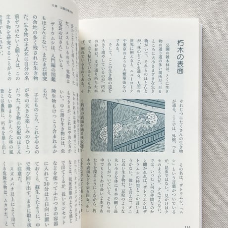 佐々木洋｜生きものハイウェイ