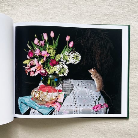 Lia Darjes｜PLATES I-XXXI
