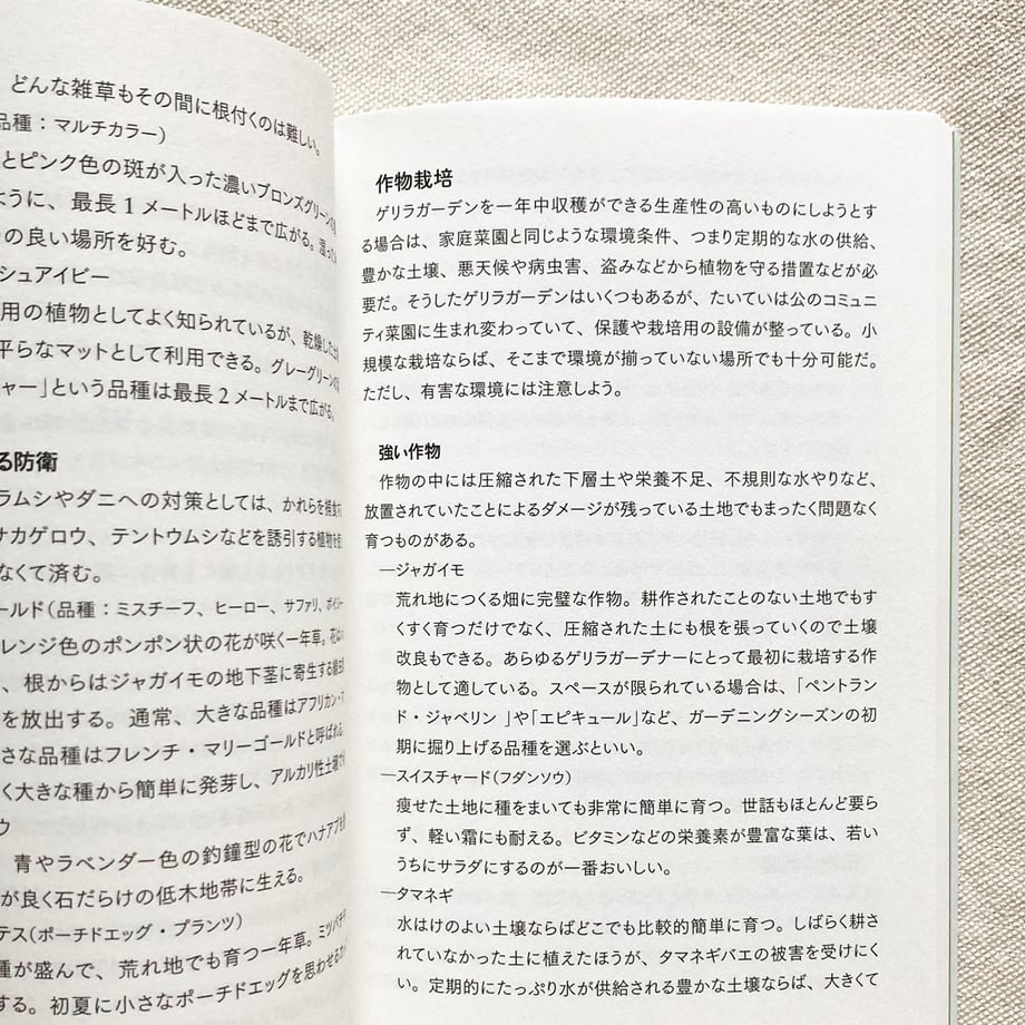6704f802835a6704d9380305