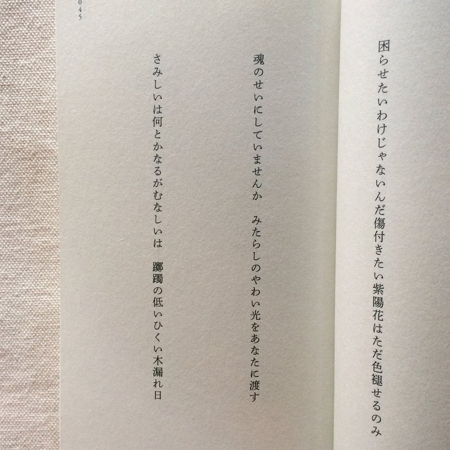 5f533f2cbc44dc45841ce2ef