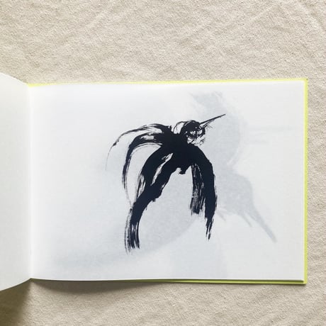松岡正剛｜Birds