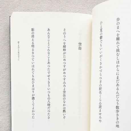 平井弘｜振りまはした花のやうに