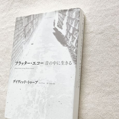 デイヴィッド・トゥープ ｜フラッター・エコー 音の中に生きる