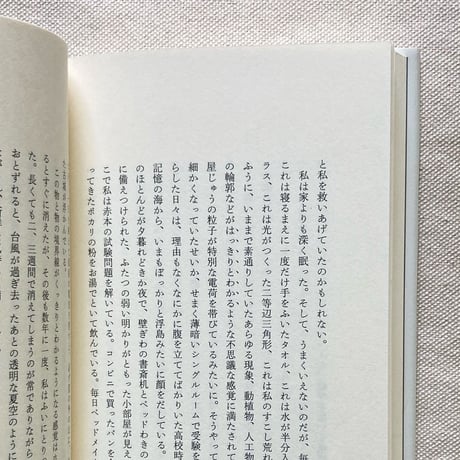 三品輝起｜雑貨の終わり
