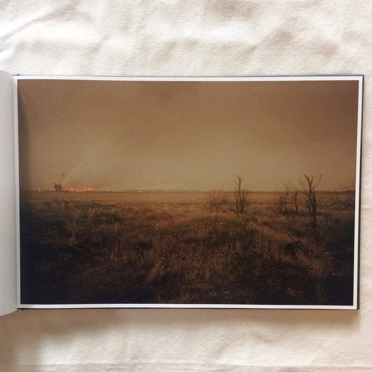 初版・サイン本 Todd Hido / Bright Black World 初版・サイン本 Todd Hido / Bright Black World Bright Black