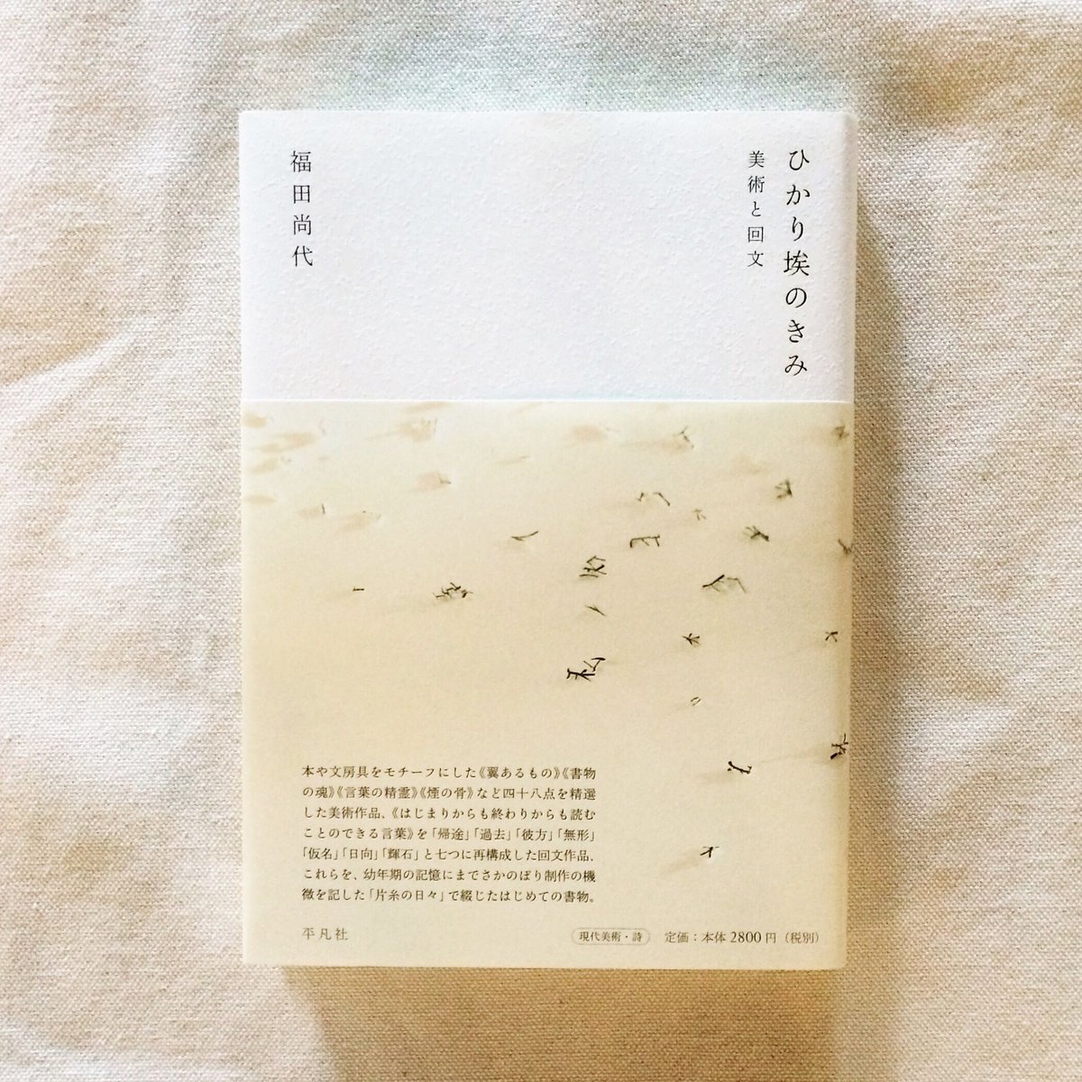 福田尚代｜ひかり埃のきみ | 曲線 