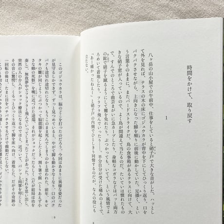 梨木香歩｜小さな神のいるところ