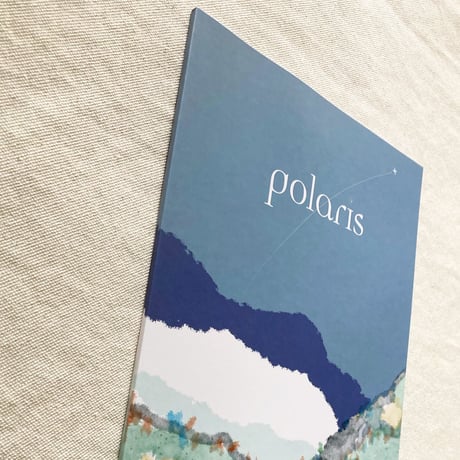 polaris ISSUE00