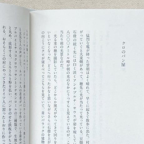 若菜晃子｜途上の旅