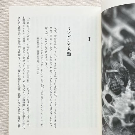 クレア・プレストン｜ミツバチと文明