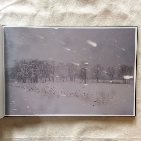 Todd Hido｜BRIGHT BLACK WORLD