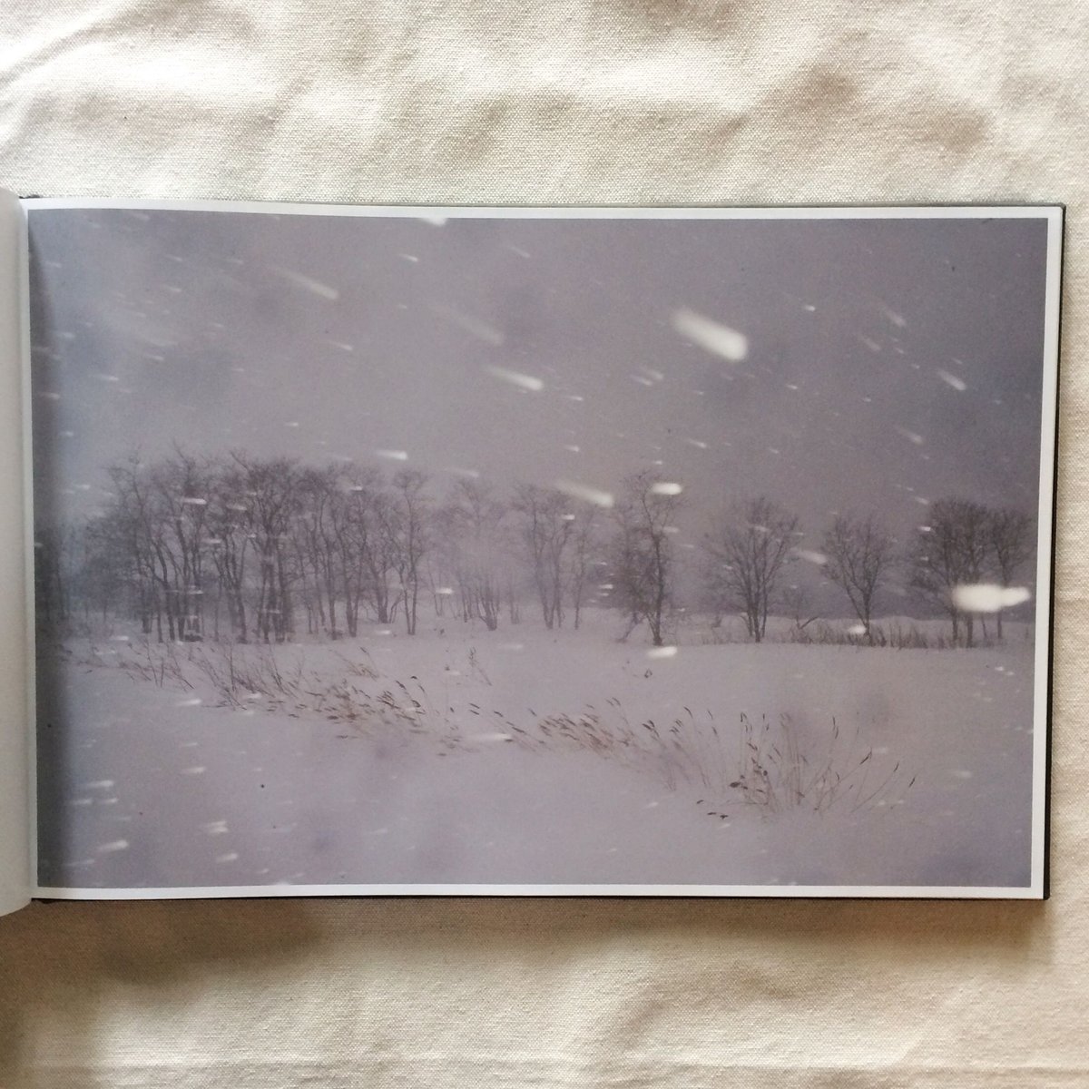 Todd Hido｜BRIGHT BLACK WORLD | 曲線