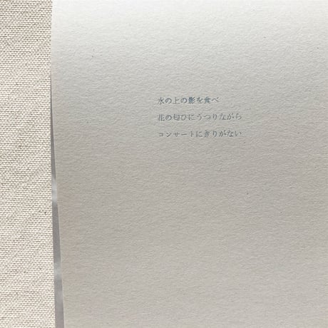 ヒロイヨミ社｜漂流箋