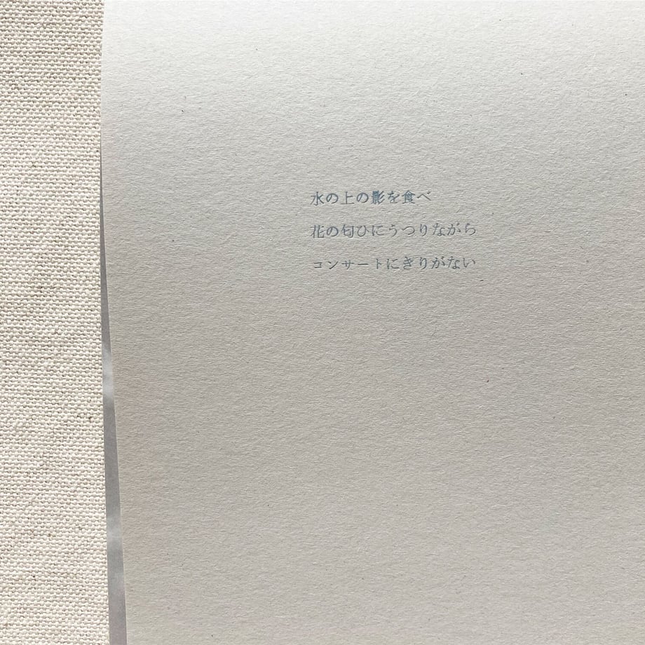 5fd5cf4e8a457214fb4448e4