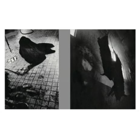 深瀬昌久｜遊戯