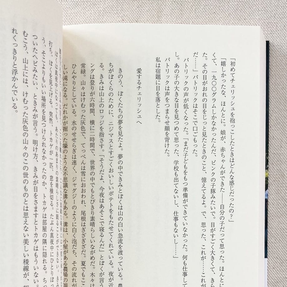 635f8bfbd7e1d856ed7130b1