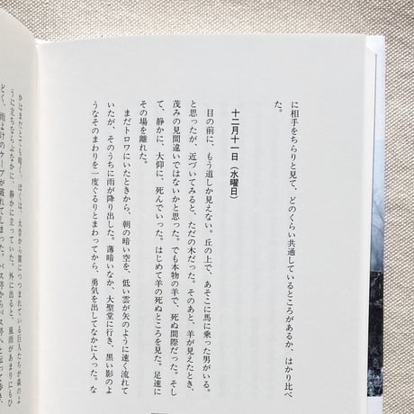 ヴェルナー・ヘルツォーク｜氷上旅日記