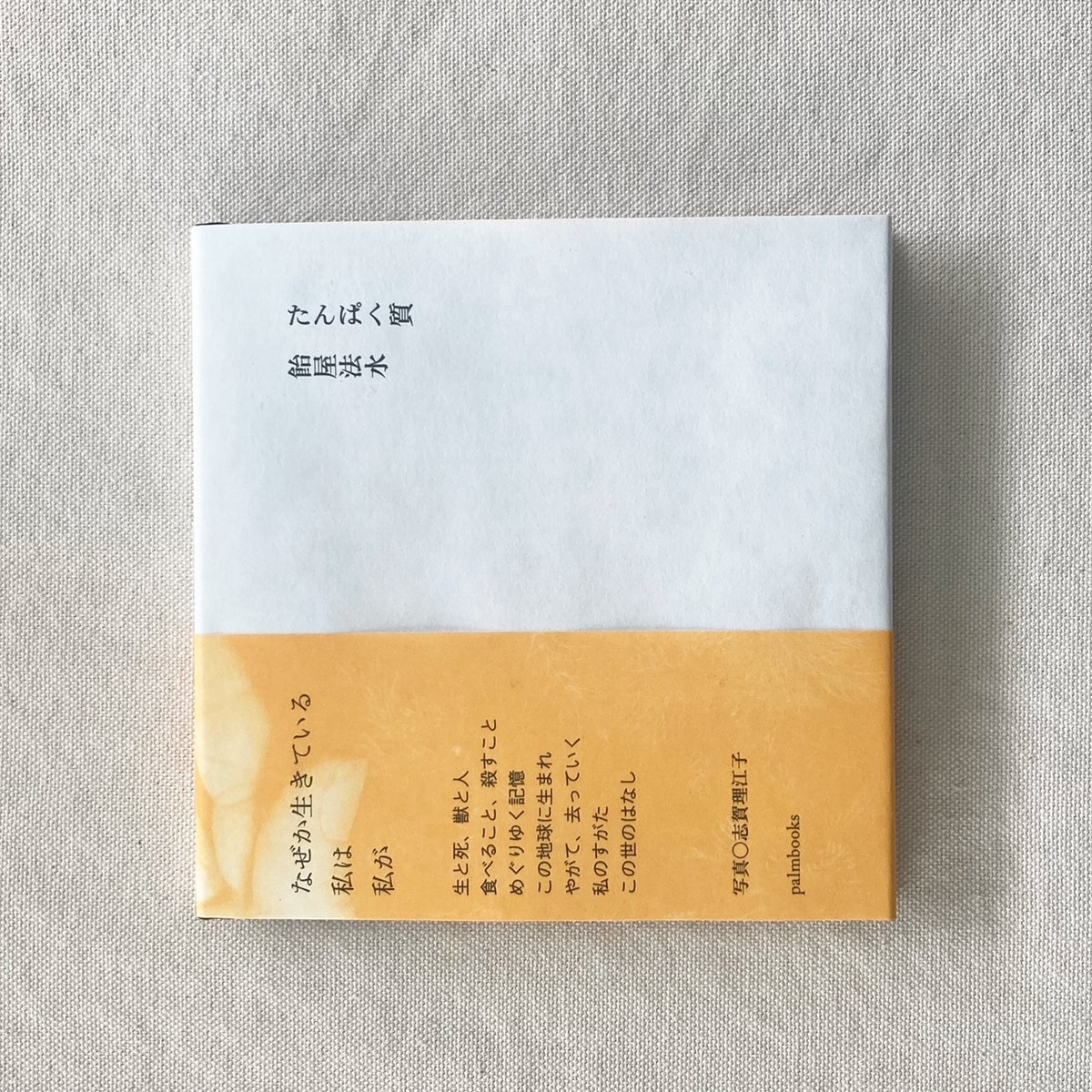 norimizu ameya I love body style 本 飴屋法水 norimizu ameya I love body style 本 飴屋法水 - メルカリ