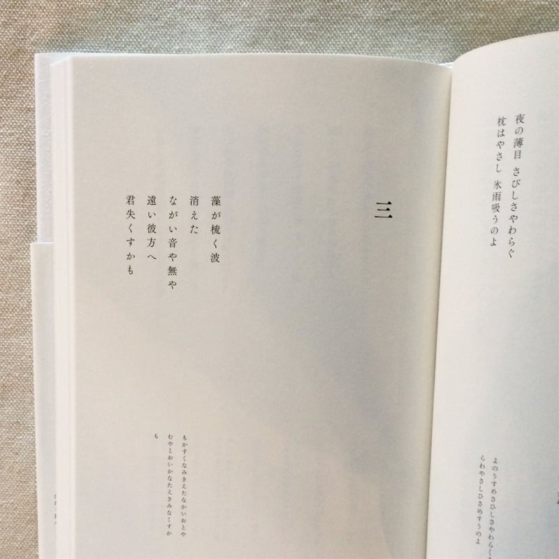 福田尚代｜ひかり埃のきみ | 曲線