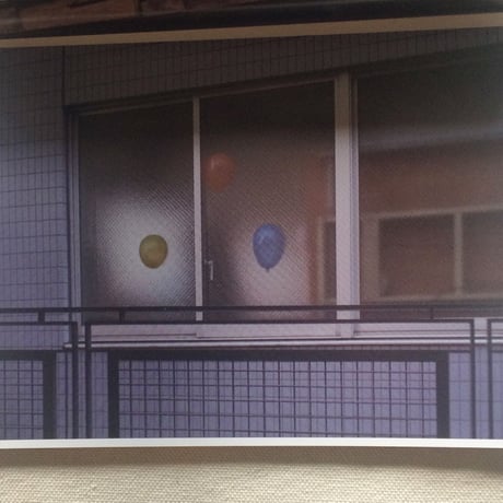 窓の観察