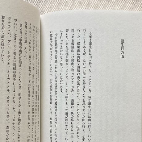 若菜晃子｜街と山のあいだ