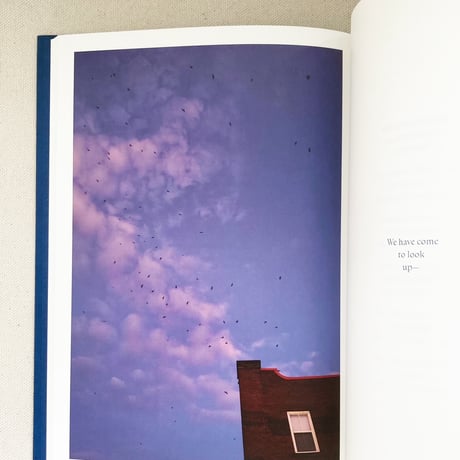 Rebecca Norris Webb｜A DIFFICULTY IS A LIGHT