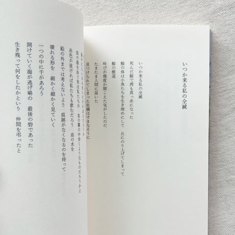 井戸川射子｜中座を横から見たscene