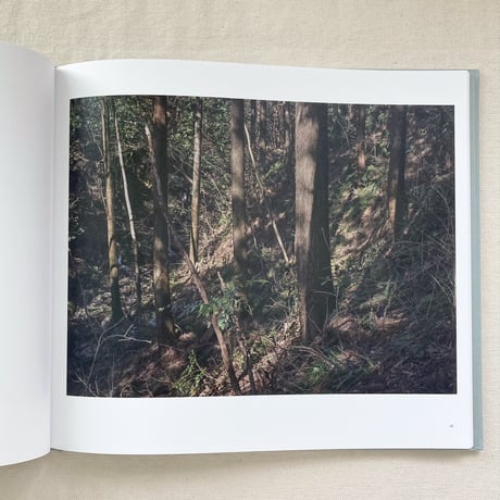寺崎珠真｜Heliotropic Landscape