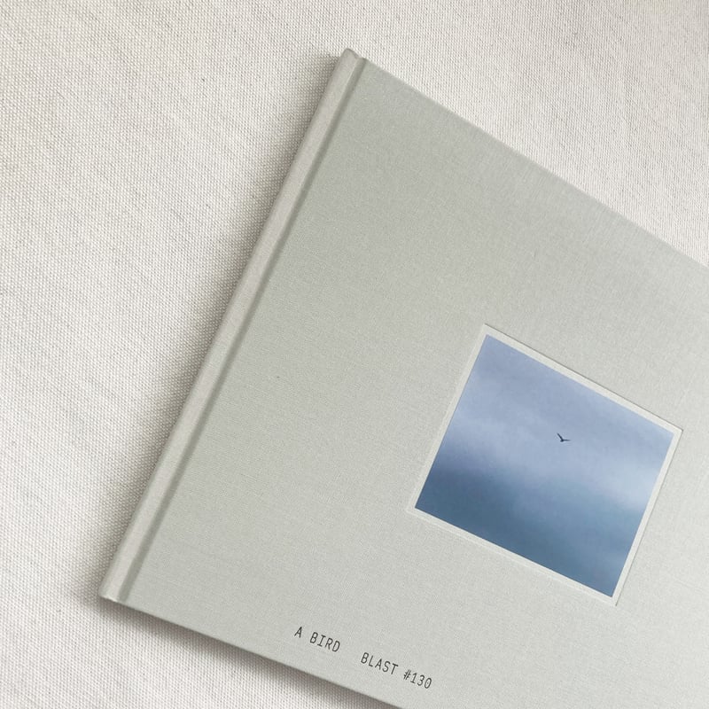 畠山直哉｜A BIRD BLAST #130 | 曲線