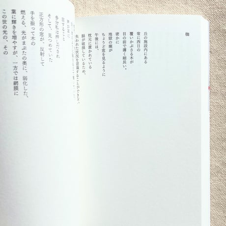 カニエ・ナハ詩集