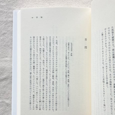 ロラン・バルト｜恋愛のディスクール・断章