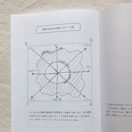 PUMPQUAKES ZINE 001 菜花