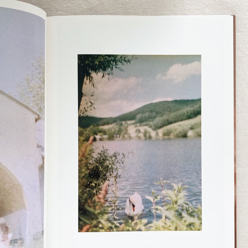 MAGMA 花代 2008 初版 MAGMA 花代 2008 初版