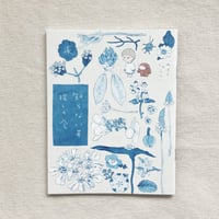のもとしゅうへい｜知らない草探しの会