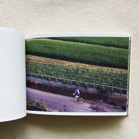 SCREENSHOTS FROM A SERIES OF VIDEOS ABOUT A RICE FIELD AND ITS SURROUNDINGS