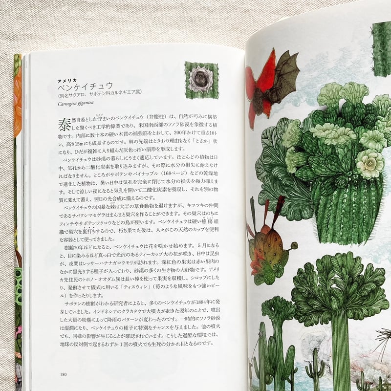 食卓を変えた植物学者―世界くだものハンティングの旅／ダニエル・ストーン Amazon.co.jp: 食卓を変えた植物学者 eBook : ダニエル・ストーン